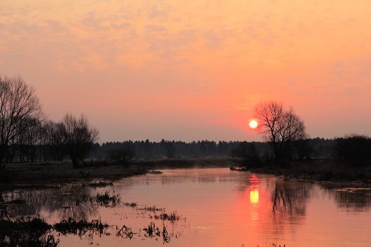 Orange Morning