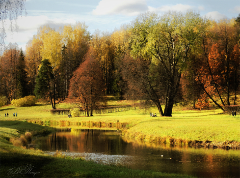 Sunny autumn
