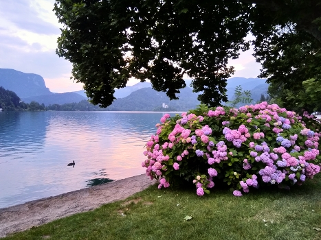 On the lake