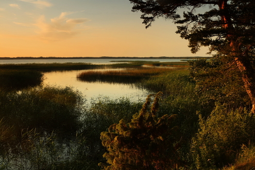 Lake Narach