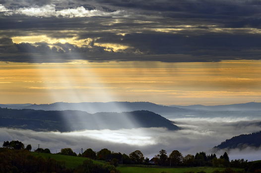 Light