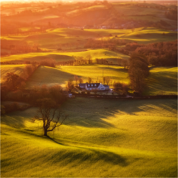 ... Among the fields ...