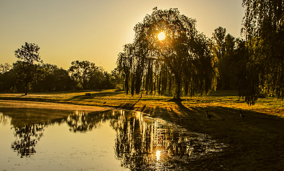 Sunny morning