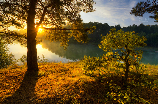 ***