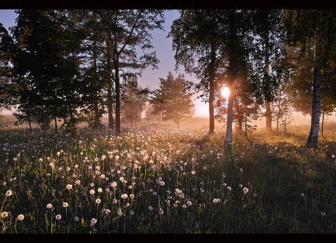 Warm morning