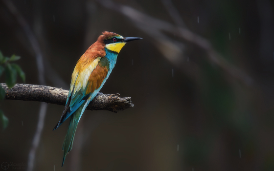Leaving the rain ...