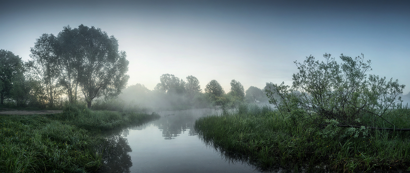 Morning on the lake