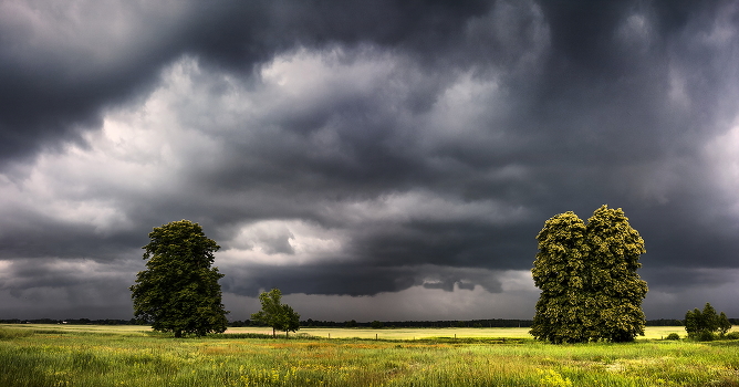 Before the storm