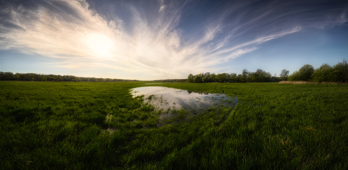 After a rain ...