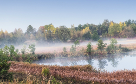 Sunny fog