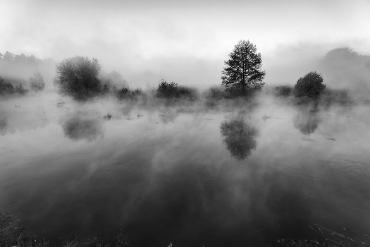 The smell of autumn