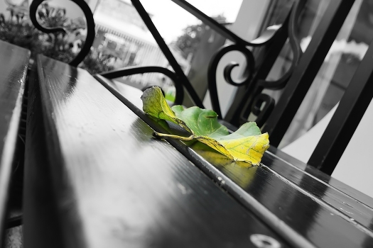 Autumn Sonata