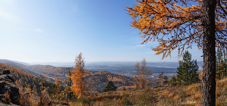 An der Spitze.