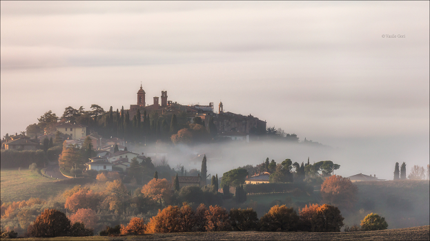 Foggy morning
