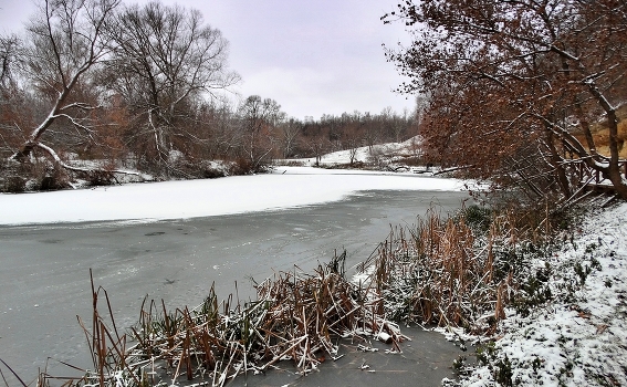 Winter theme