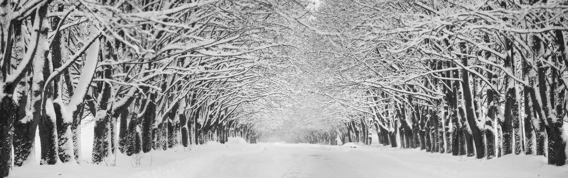 Winter alley