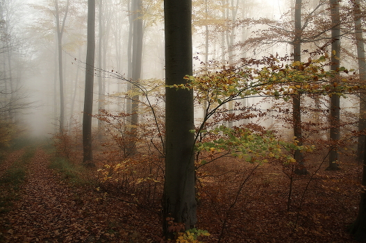 Autumn