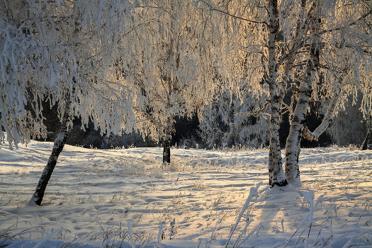 Light winter