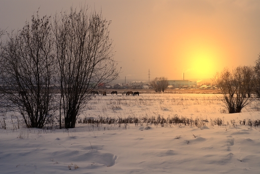 Winter evening ...