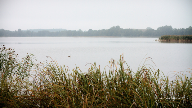 Fog dissipates
