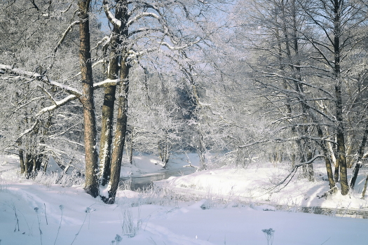 hate winter