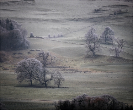 ...freeeeze...