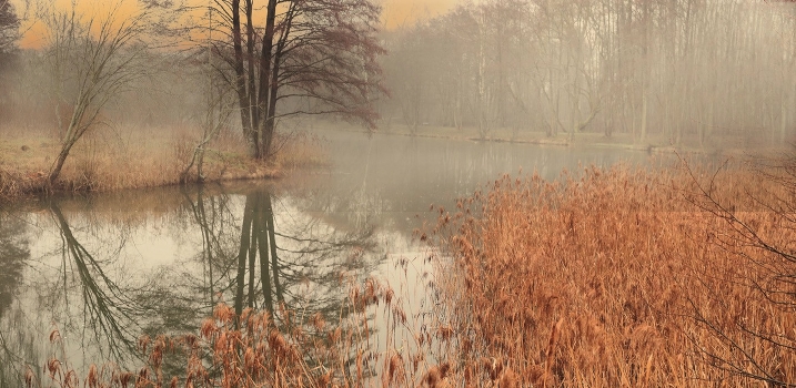 Remembering the Fall