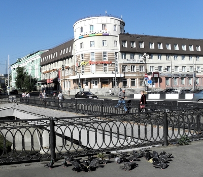 Голуби.