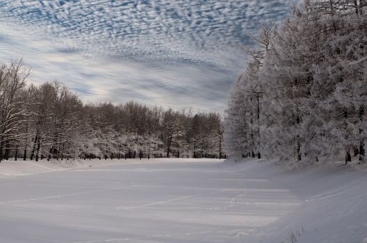 Frost and sun.