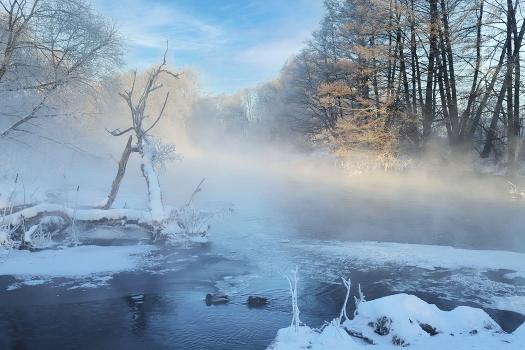 Sunrise over the river
