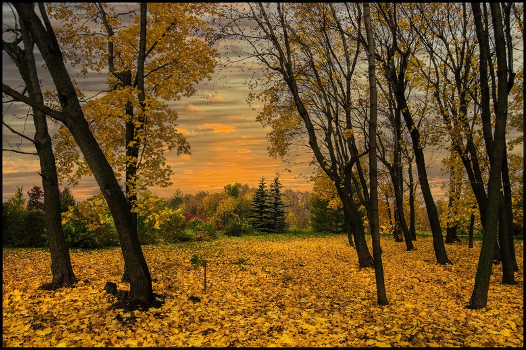 Autumn sketches