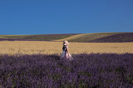 On the outskirts