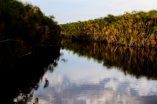 abends im Okavango Delta