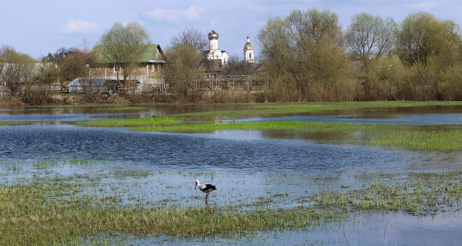 Spring flood
