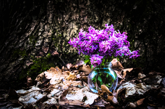 About Spring