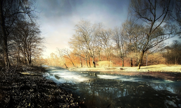 Last Ice