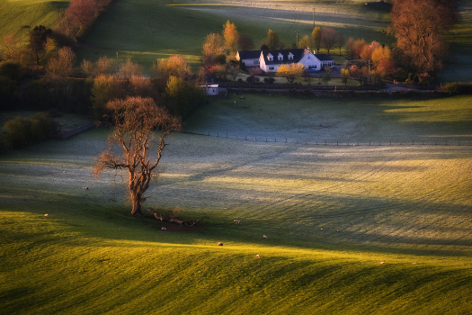 ...Irish classic...