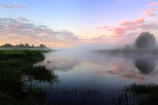 Misty dawn.