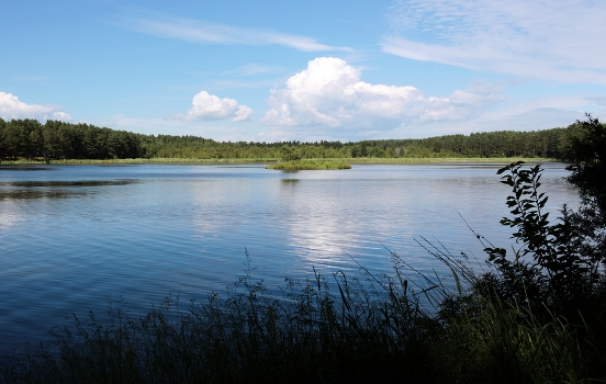 Пруд на реке Лугавка
