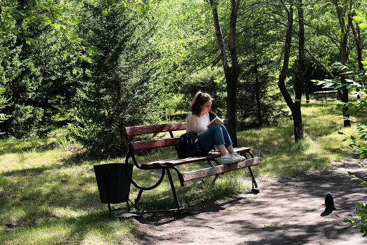 В парке городском