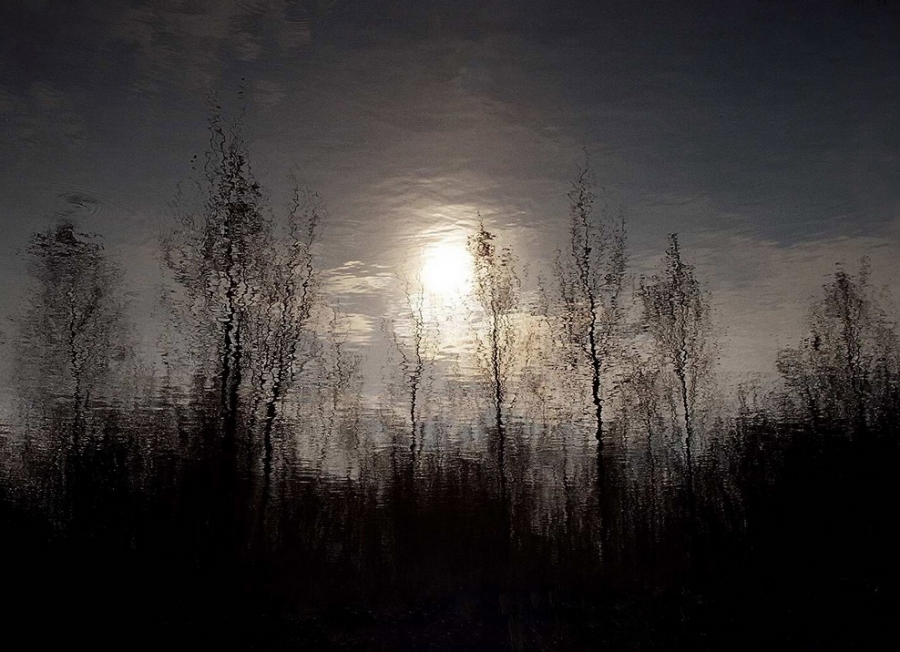 reflection of silence