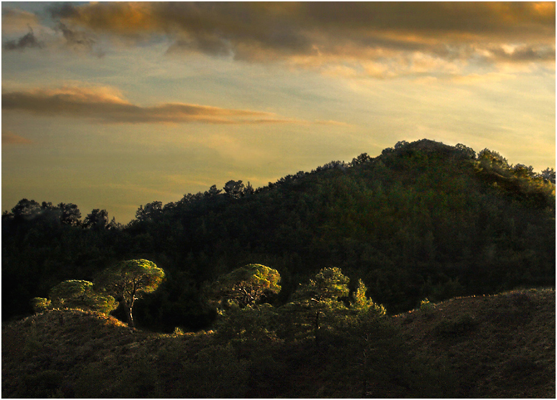 Evening in the Mountains