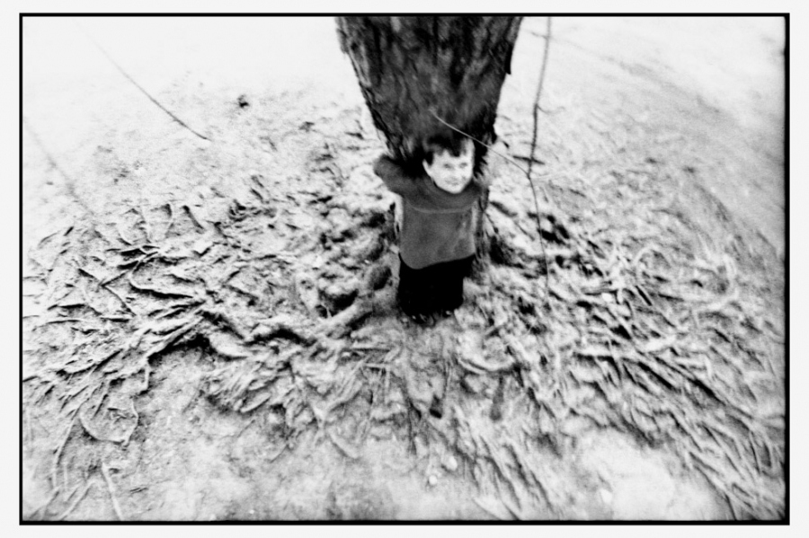 roots.