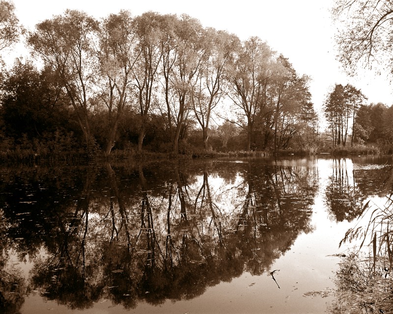 symmetry
