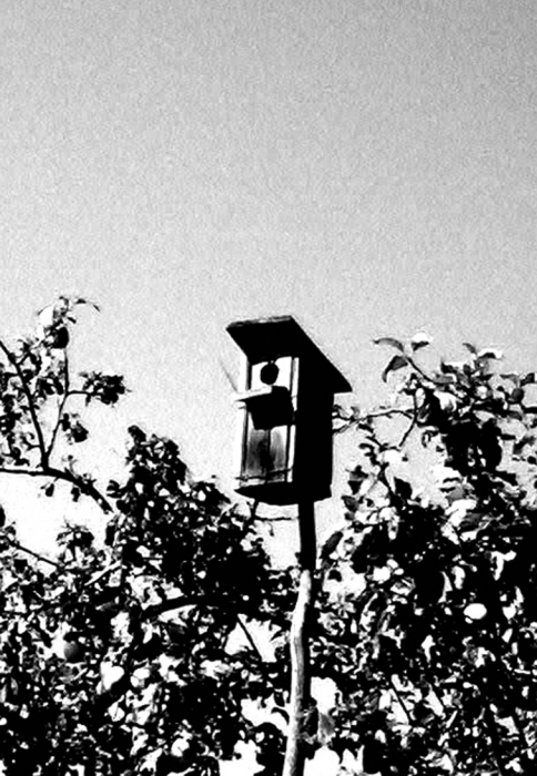 The House in the sky