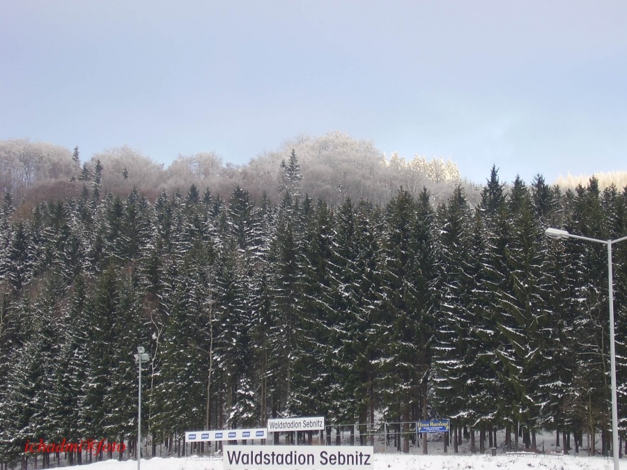 Winter und Wald in Sebnitz