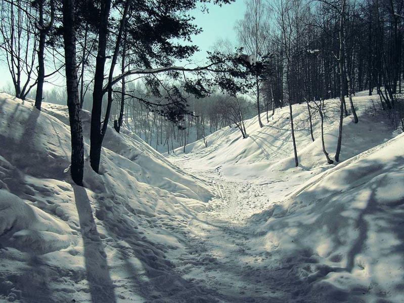 Winter on the hill Iourieva