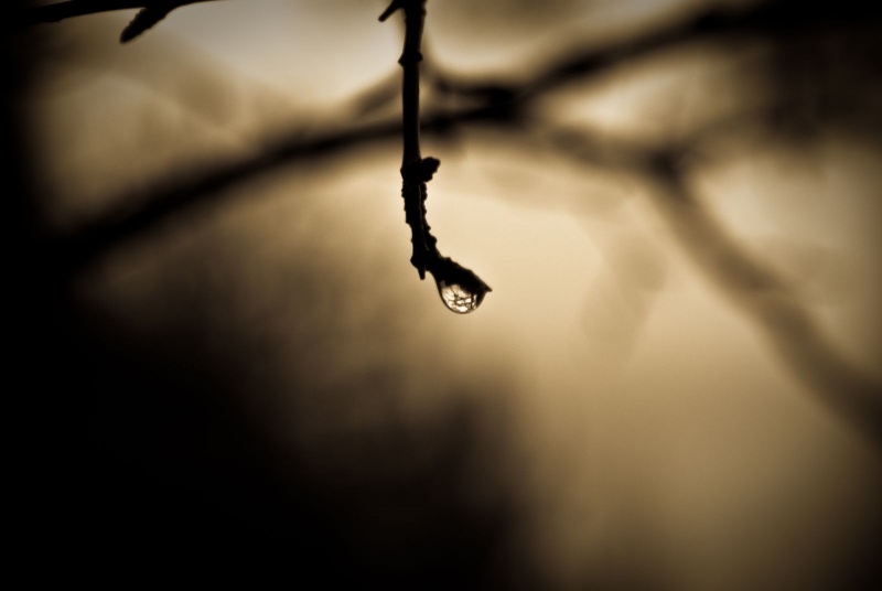 Big world of small reflection