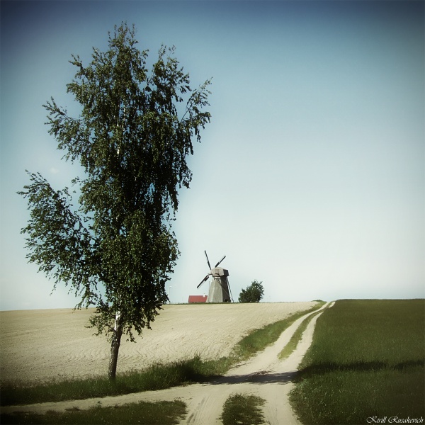 Sunday Dream
