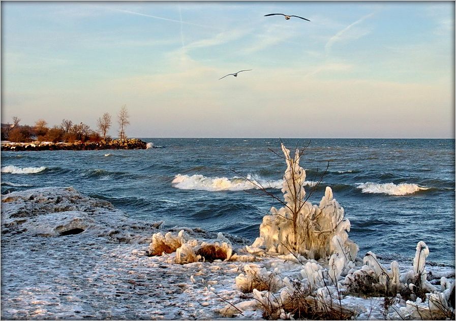 towards the south wind
